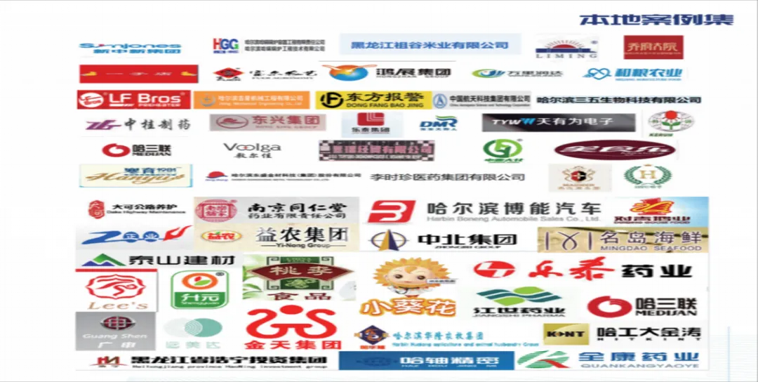 668b55d32a8ec.png