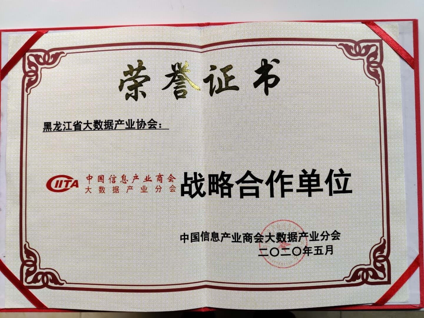 中国信息产业商会大数据产业分会.jpg